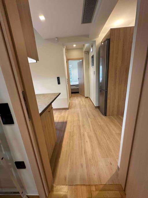 Vasilis Luxury Apartment 雅典 外观 照片