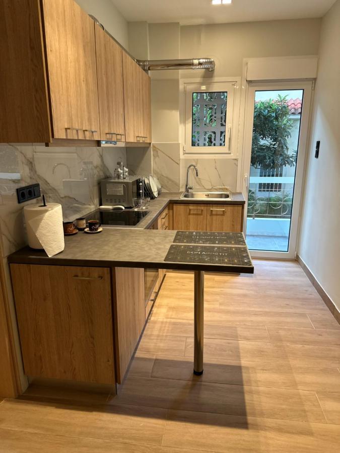 Vasilis Luxury Apartment 雅典 外观 照片