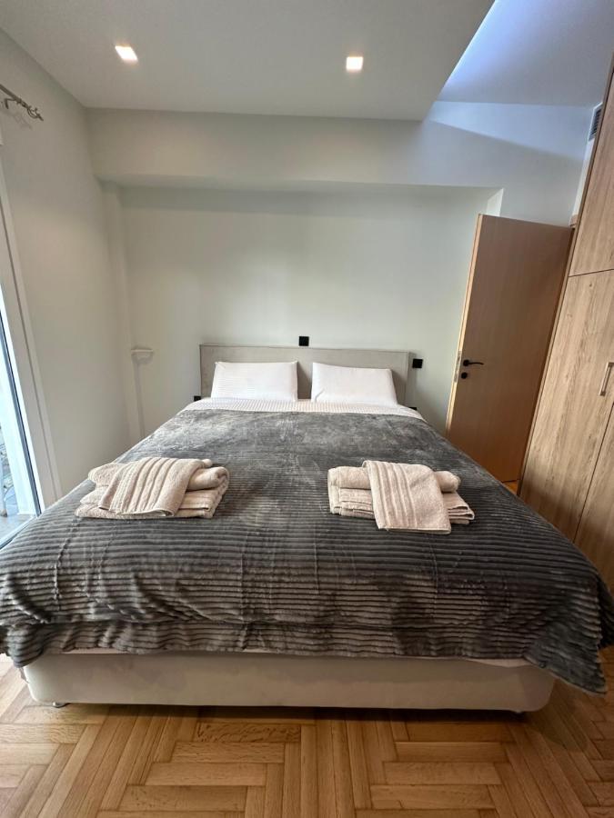 Vasilis Luxury Apartment 雅典 外观 照片