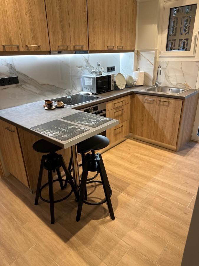 Vasilis Luxury Apartment 雅典 外观 照片